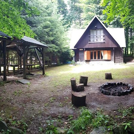 Slovak Cottage Near Bratislava In The Heart Of The Carpathians 莫德拉 外观 照片