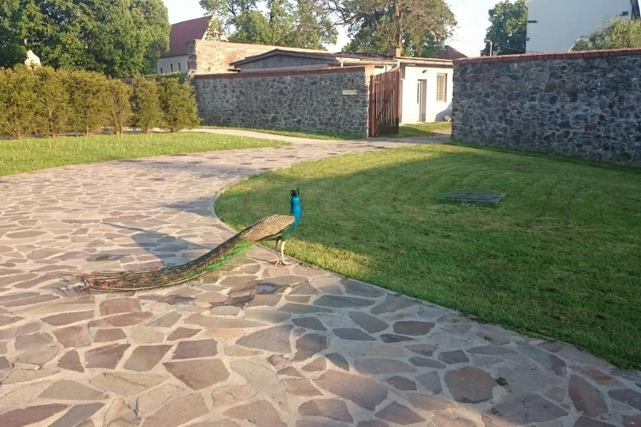 Slovak Cottage Near Bratislava In The Heart Of The Carpathians 莫德拉 外观 照片