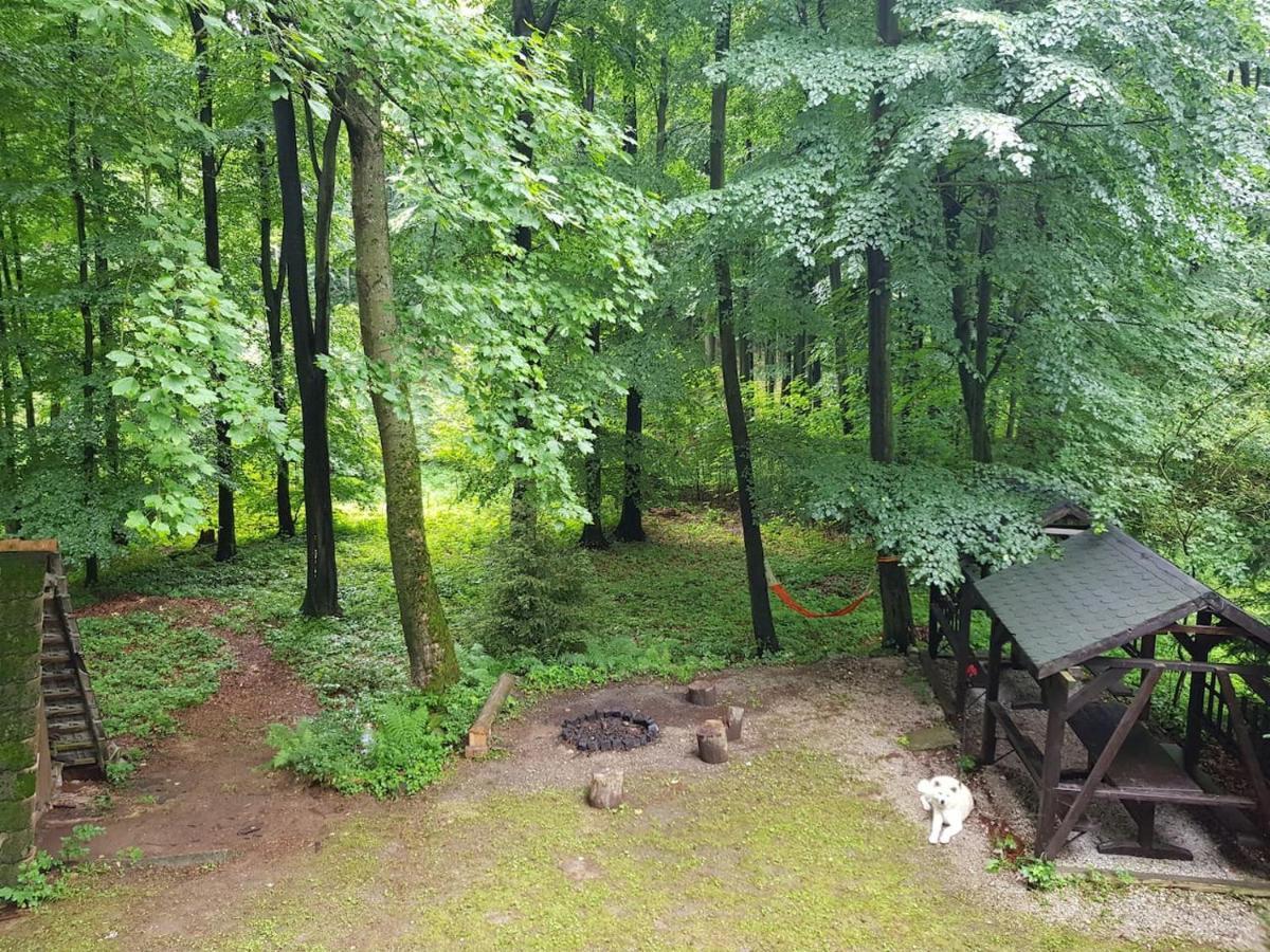Slovak Cottage Near Bratislava In The Heart Of The Carpathians 莫德拉 外观 照片
