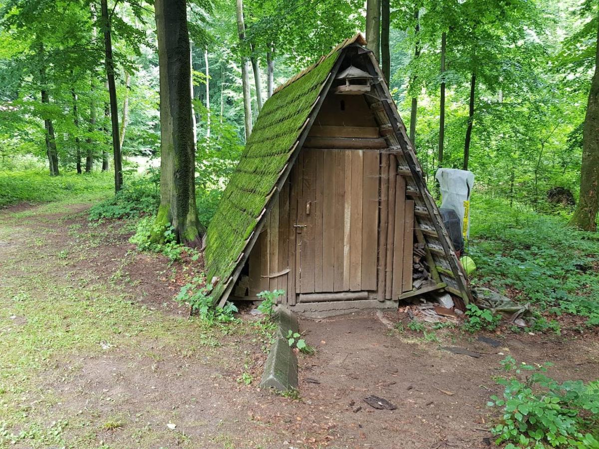 Slovak Cottage Near Bratislava In The Heart Of The Carpathians 莫德拉 外观 照片