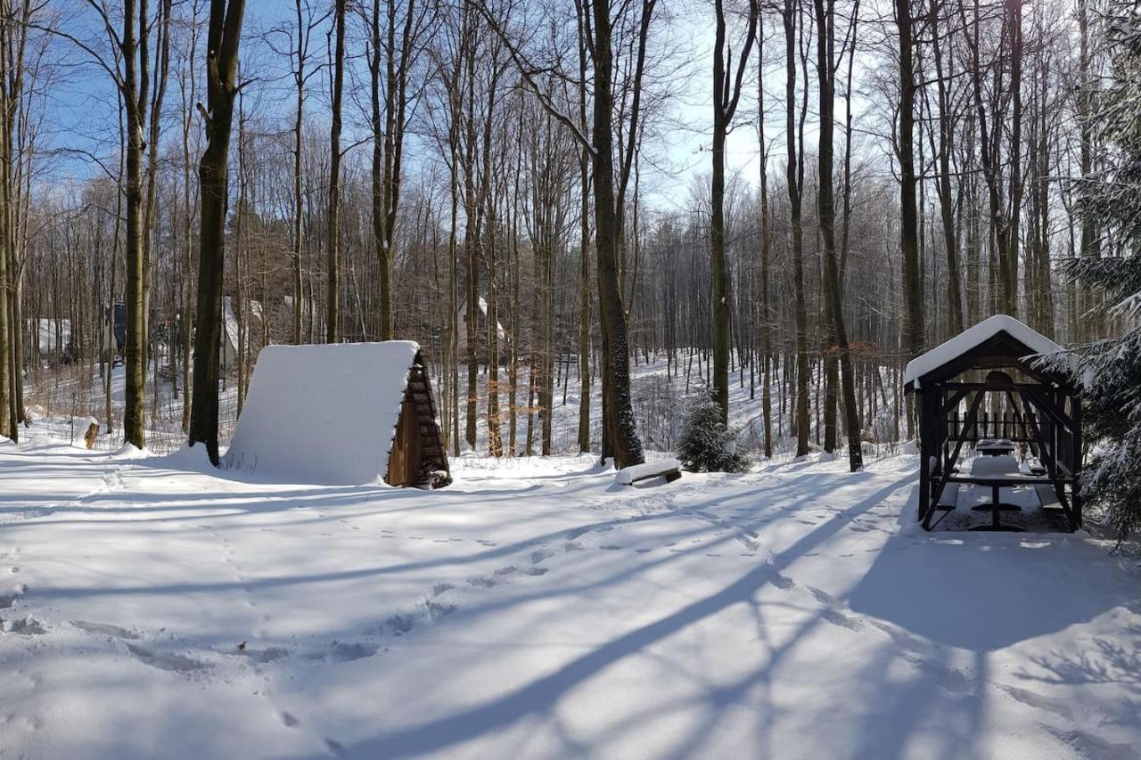 Slovak Cottage Near Bratislava In The Heart Of The Carpathians 莫德拉 外观 照片