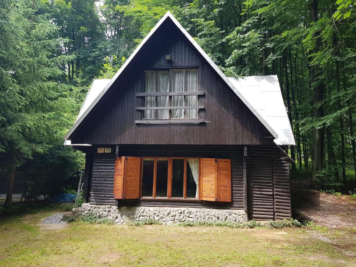 Slovak Cottage Near Bratislava In The Heart Of The Carpathians 莫德拉 外观 照片