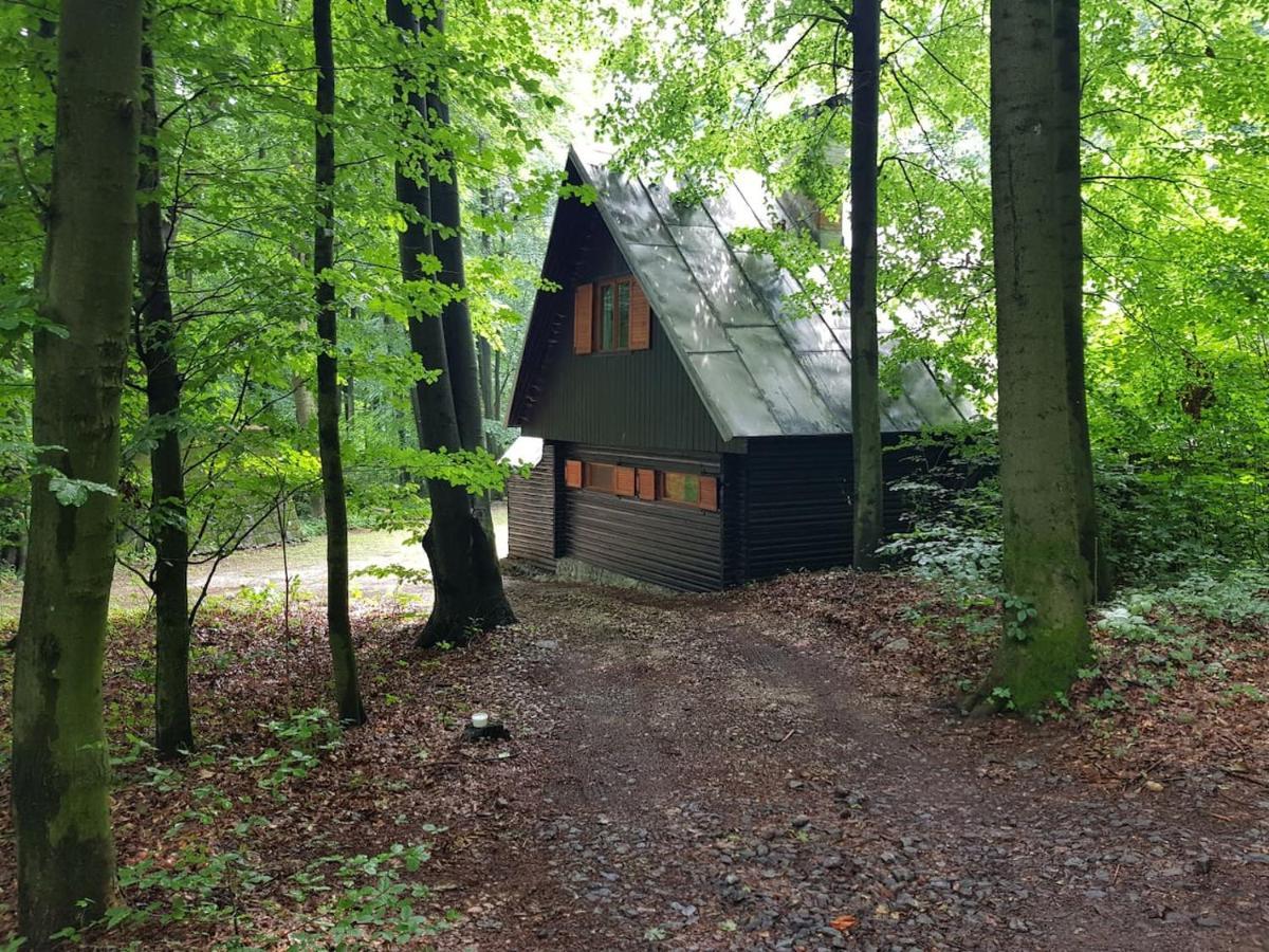Slovak Cottage Near Bratislava In The Heart Of The Carpathians 莫德拉 外观 照片