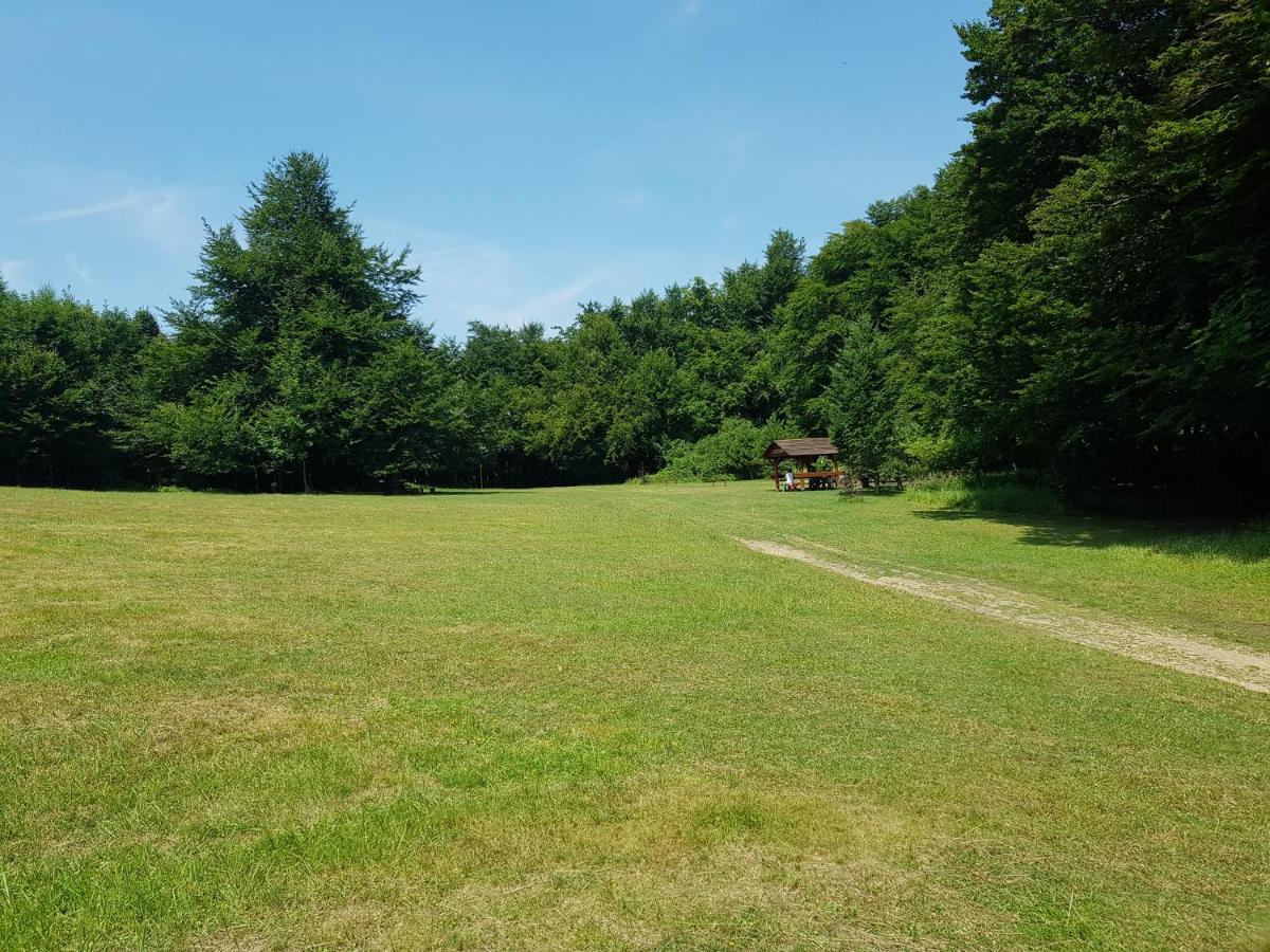 Slovak Cottage Near Bratislava In The Heart Of The Carpathians 莫德拉 外观 照片